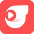 55ֱapp