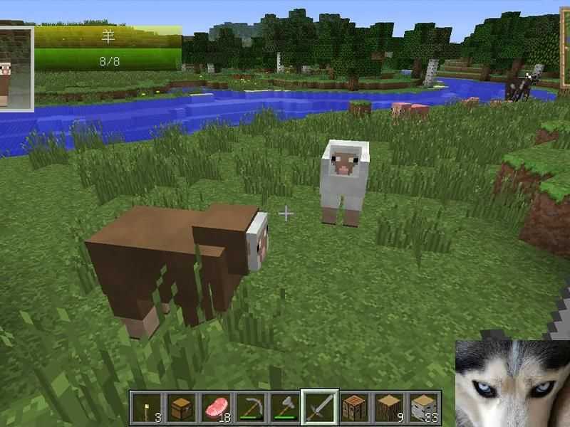 ҵôֳܷͿٳë