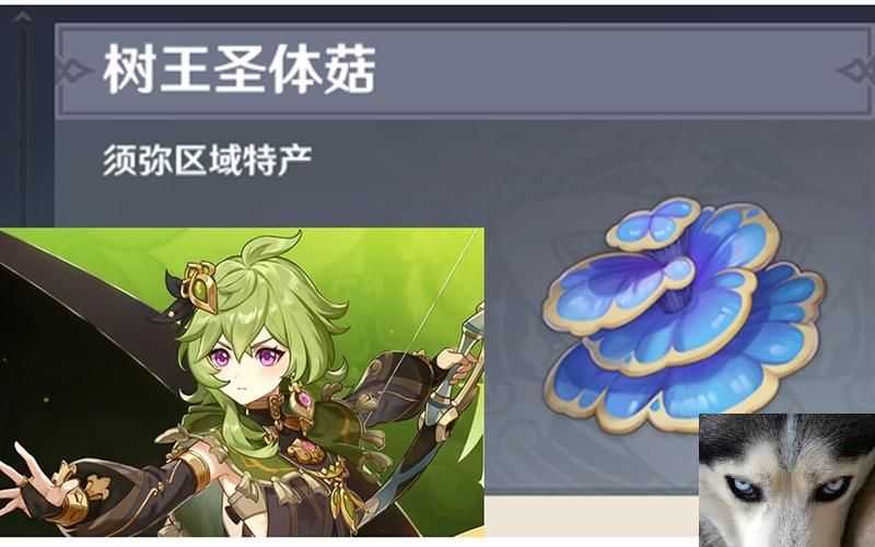 ԭʥ幽λһ
