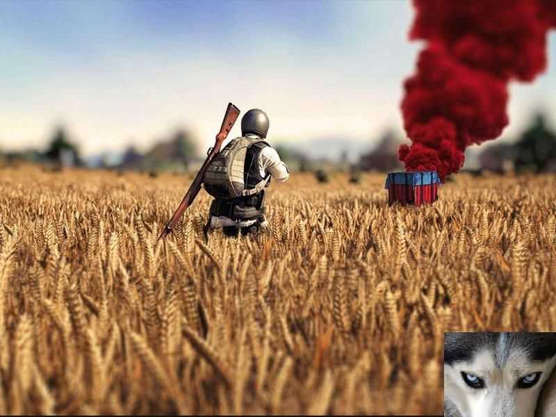 ƽӢԲɷ