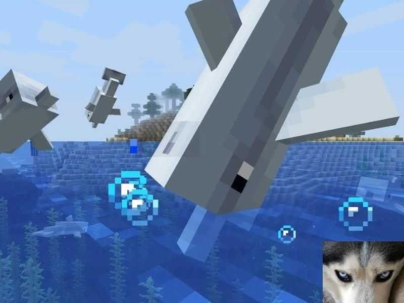ҵֻôѱѰҵױأ
