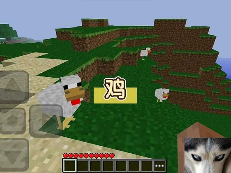 ҵ缦ôµֳһ
