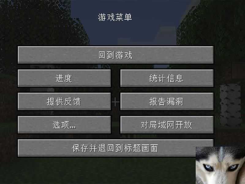 ҵjavaôþͺԶ