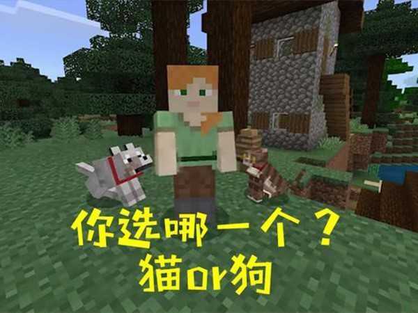 ҵٻè޵ָʲô