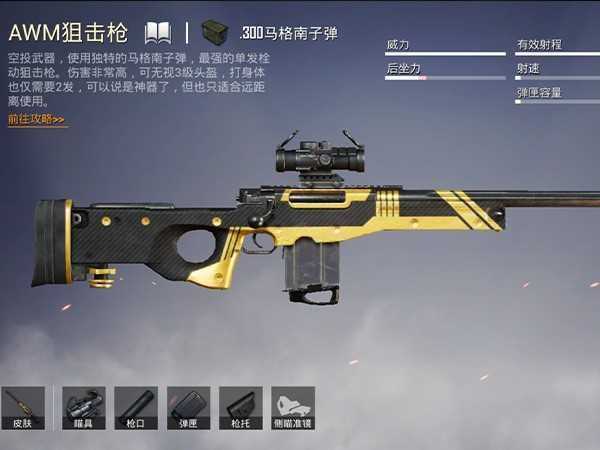 和平精英AWM最佳配件搭配,高手都用消音器和8倍镜