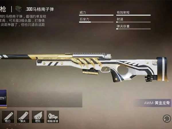 和平精英AWM皮肤抽奖技巧揭晓,一发就中人人都是欧皇