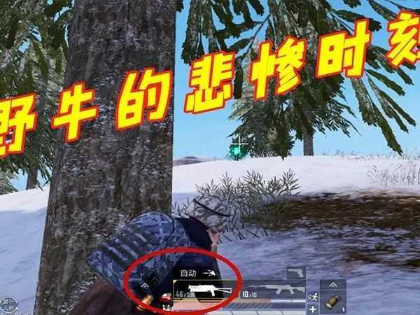 和平精英野牛和m416强弱对比,射速突出专为近战而生