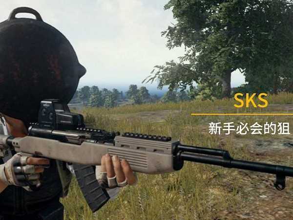 ƽӢSKSѡ5ϸ