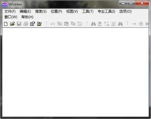 WinHex v19.9Ѱ