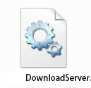 DownloadServer.dllļ_DownloadServer.dll