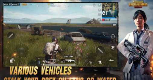 PUBG MOBILE LITE(�����������������)