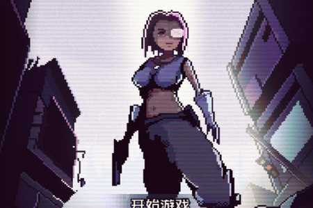 Wasteland Ninja(�ĵ�����)
