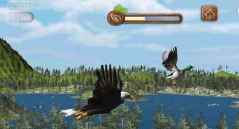 Eagle Sim(��ӥģ�����)