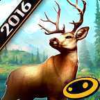 ��¹��2016�ٷ�������