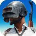 Last Survive - Chicken Dinner(��Ӣ�ж��Լ���������)