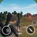 Mobile PUBG ���ʺ����