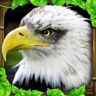 Eagle Sim(��ӥģ�����)