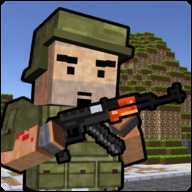 Block Soldier Survival Games(���ս�����)