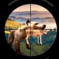 Ұ¹����Wild Deer hunter