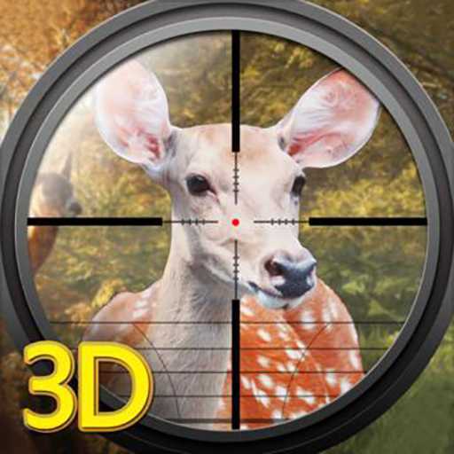 3D�����������