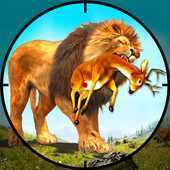 Deer Hunting Sniper Shooting(�ѻ�����¹���°�)
