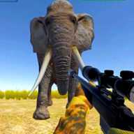 Jungle Hunt Safari(��������֮��)