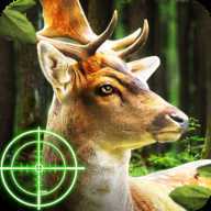 Deer Hunting(��¹��������)