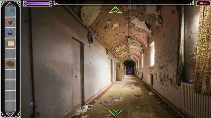 Asylum2019(2019�ӻ���)