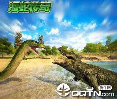 ���ߴ��滶�ְ�