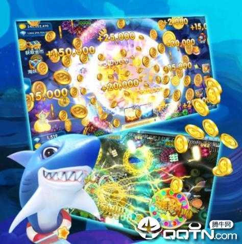 真金蟾捕鱼 真金蟾捕鱼