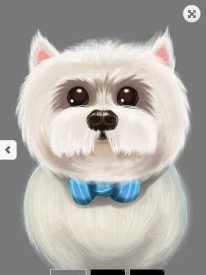 Pet Barber(��������ʦ)