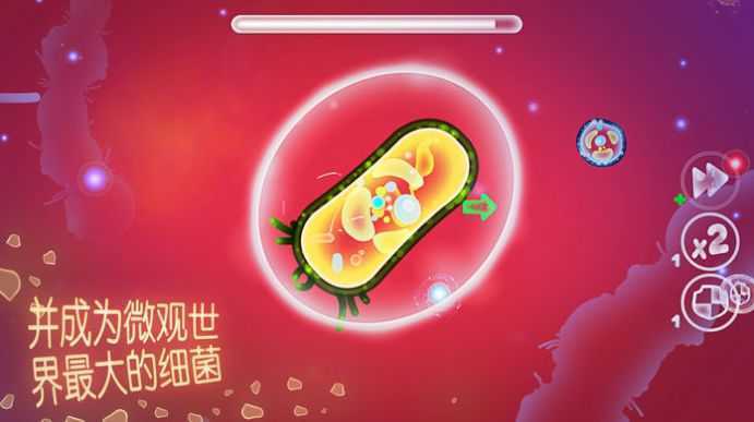 ������Beta