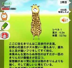 长颈鹿兄贵 长颈鹿兄贵