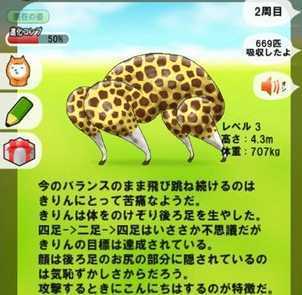 长颈鹿兄贵 长颈鹿兄贵