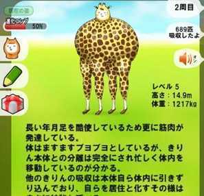 长颈鹿兄贵 长颈鹿兄贵