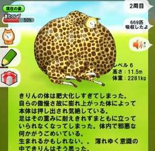 长颈鹿兄贵 长颈鹿兄贵
