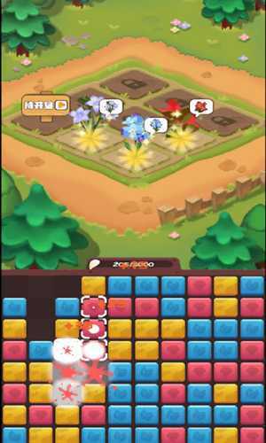 �����主��app