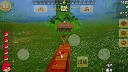 ��ŭ��С��3d��(Angry Birds 3d)