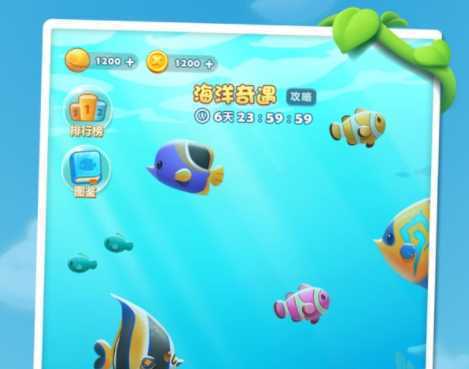 ����������С��Ӧ���̵��