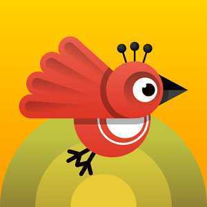 ��̬��Eco Birds