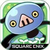 PUKUX����������