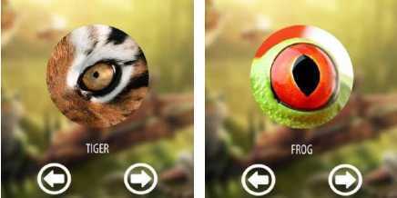 Vision animal simulator(�����Ӿ�ģ������app����)
