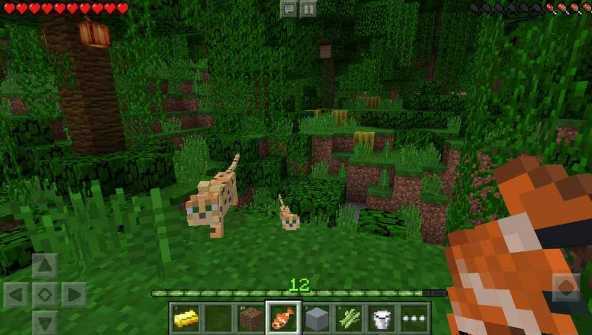 �ҵ�����1.1.5apk����