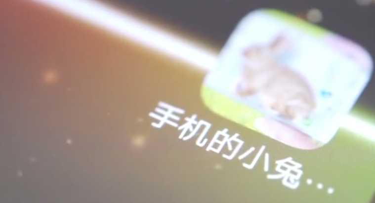 Bunny In Phone Cute joke(�ֻ���Ļ��������������)