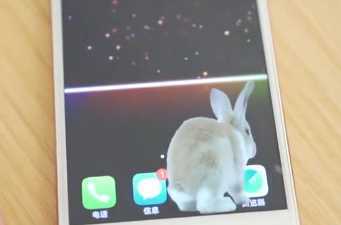 Bunny In Phone Cute joke(�ֻ�������������������)