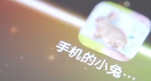 Bunny In Phone Cute joke(�������ֻ��ɰ���Ц����Ϸ����)