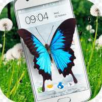 Butterfly in Phone lovely joke��������