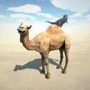 Dune Simulator(ɳ��ģ������׿������)