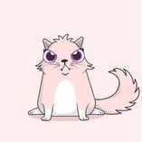 cryptokittiesߣè��������
