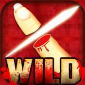 fs wild��Ϸ��׿��